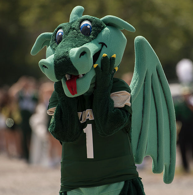 The school mascot. Link to Tangible Personal Property The school mascot. Link to Tangible Personal Property